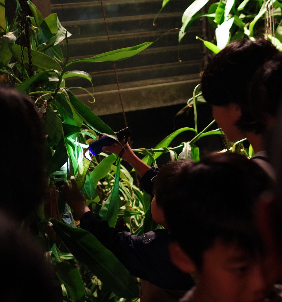 180916 ★IMGP4987 (2).jpg