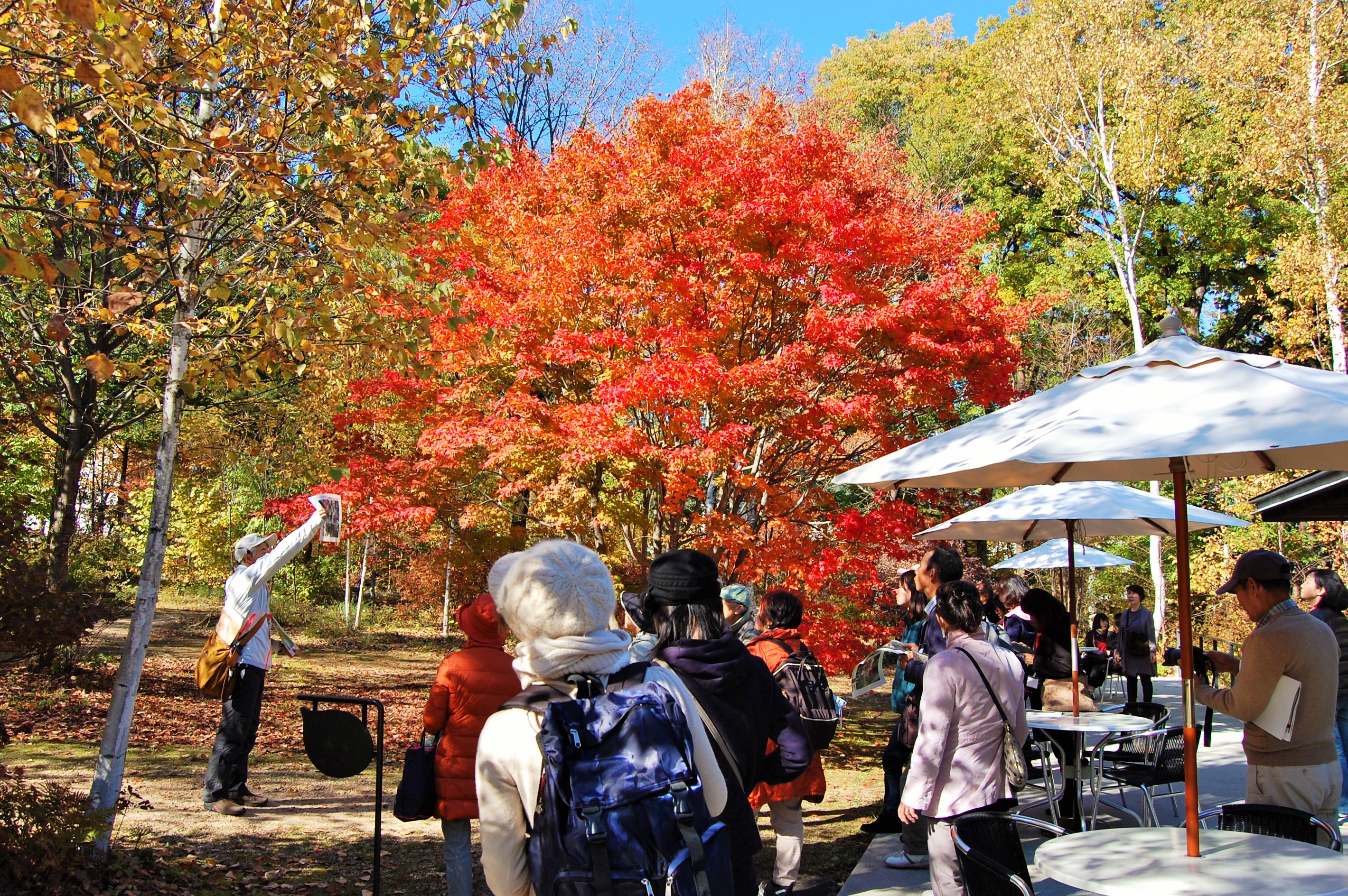 「養命酒だより」紅葉の駒ヶ根工場バスツアー　2019年11月6日