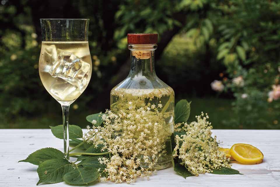 エルダーフラワーのコーディアル