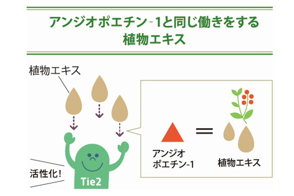 植物エキス