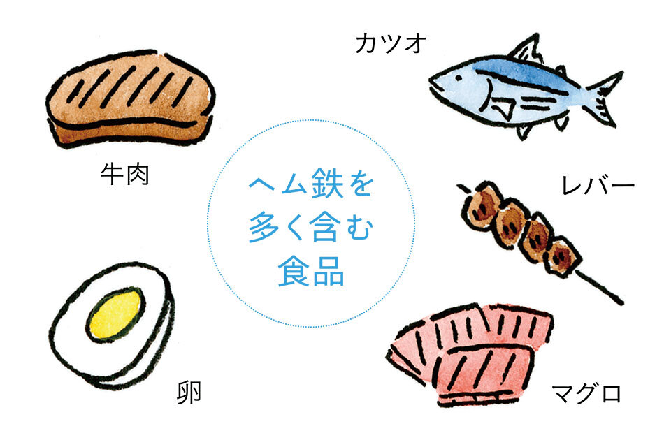 貧血予防には鉄分（ヘム鉄・非ヘム鉄）が大切