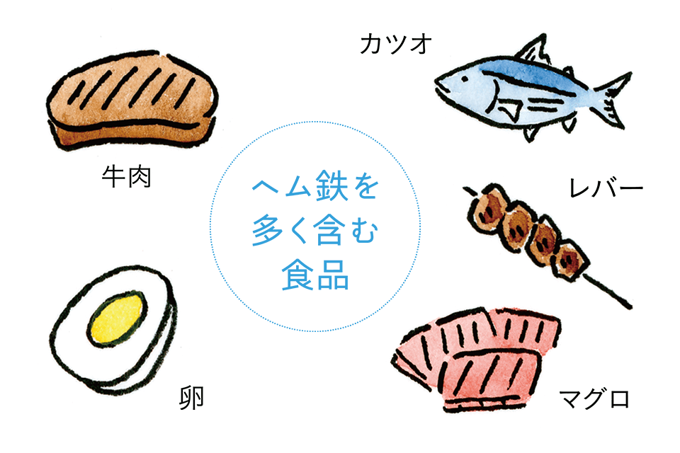 ヘム鉄を多く含む食品 牛肉 卵 レバー カツオ マグロ