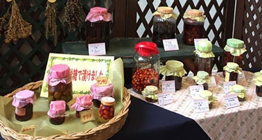 水戸市植物公園　秋の水戸藩にまつわる薬草展 講演会「薬酒を楽しむ」一覧画像