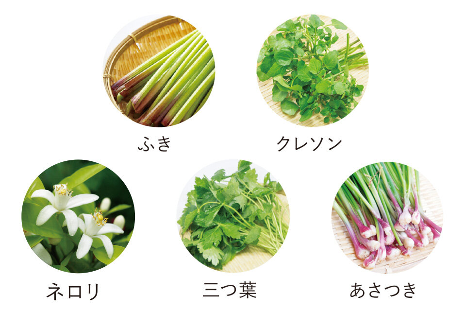 春の香味野菜