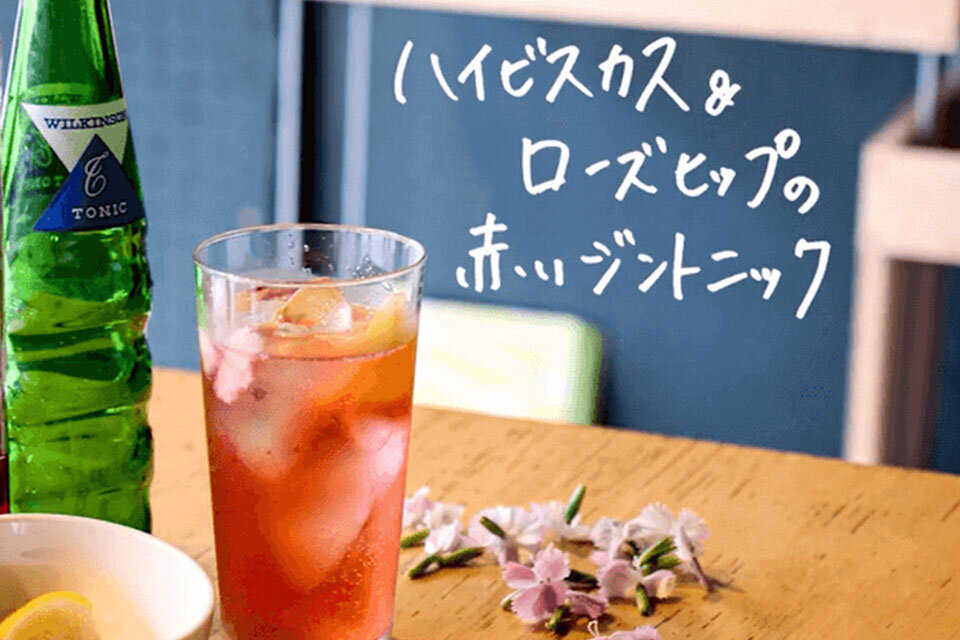ハイビスカス&ローズヒップの赤いジントニック