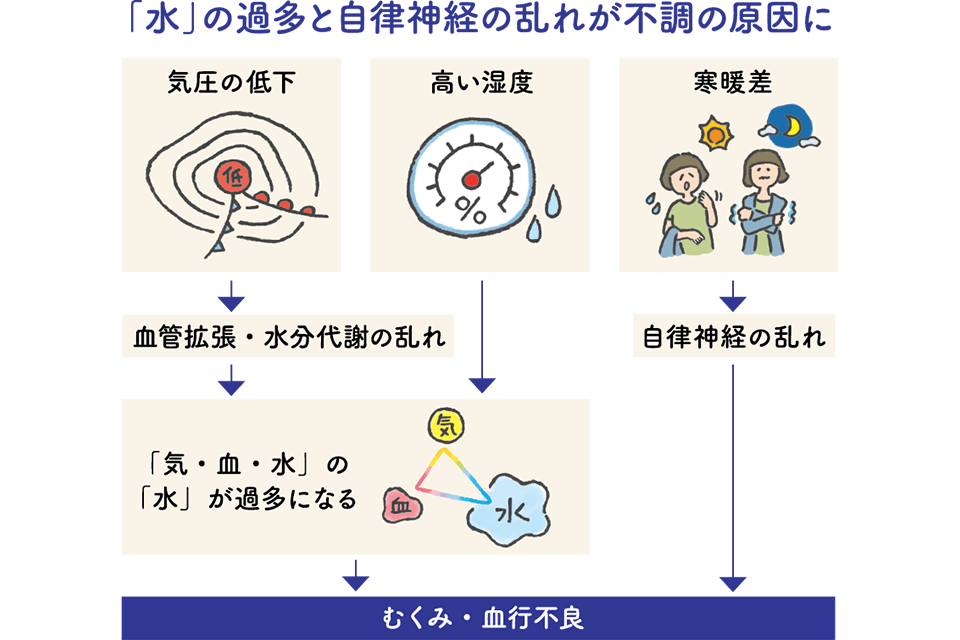 「むくみ」と「血行不良」が改善の鍵