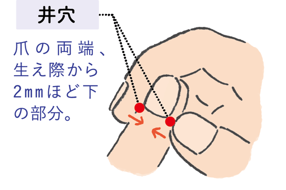 4：爪のつけ根のツボを押して血流アップ