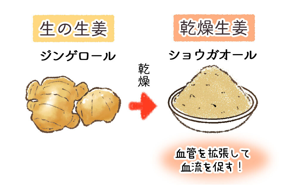 体を温める力が強いジンゲロンが多くなる。