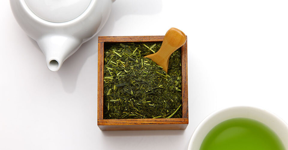【和ハーブ連載】有効成分の宝庫！緑茶の原料「チャノキ」の活用法