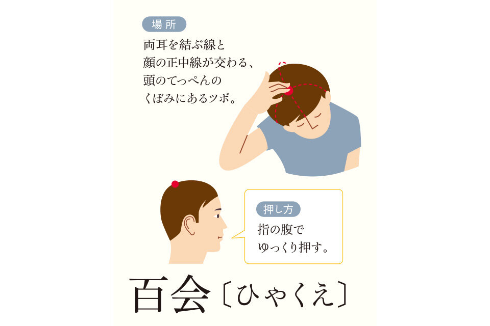 百会（ひゃくえ）