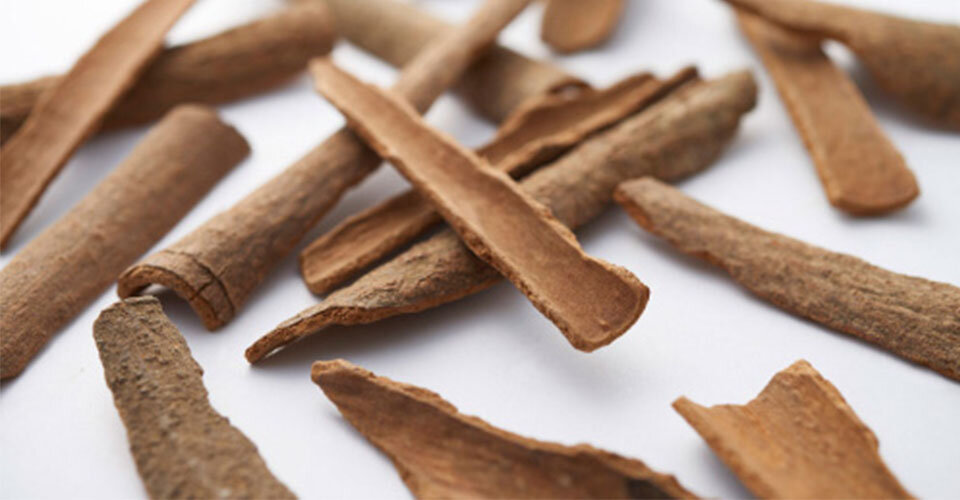 桂皮の効能・効果とは？シナモンとの違いや漢方での役割まで解説