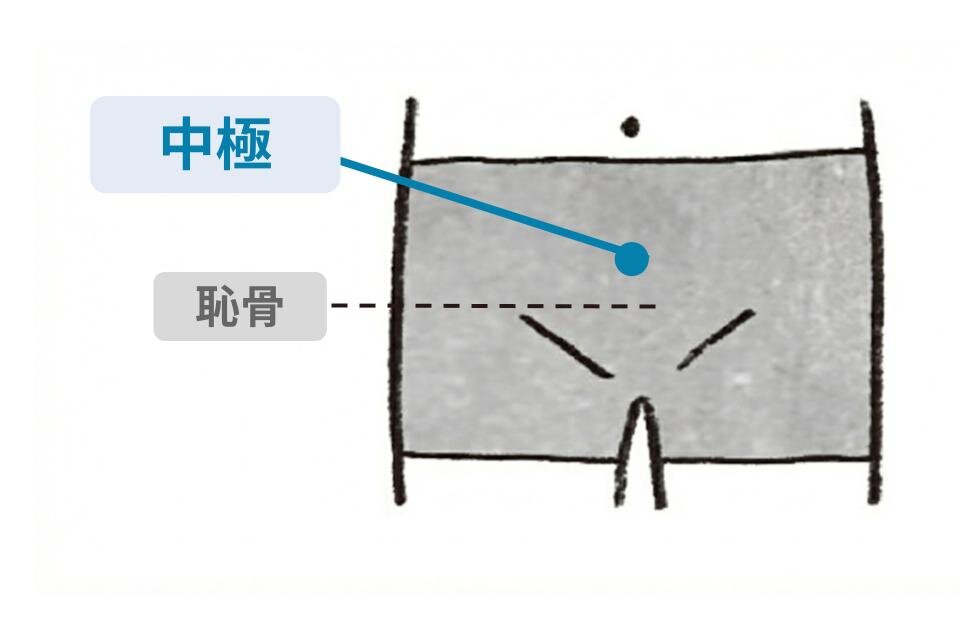 中極（ちゅうきょく）のツボのイラスト