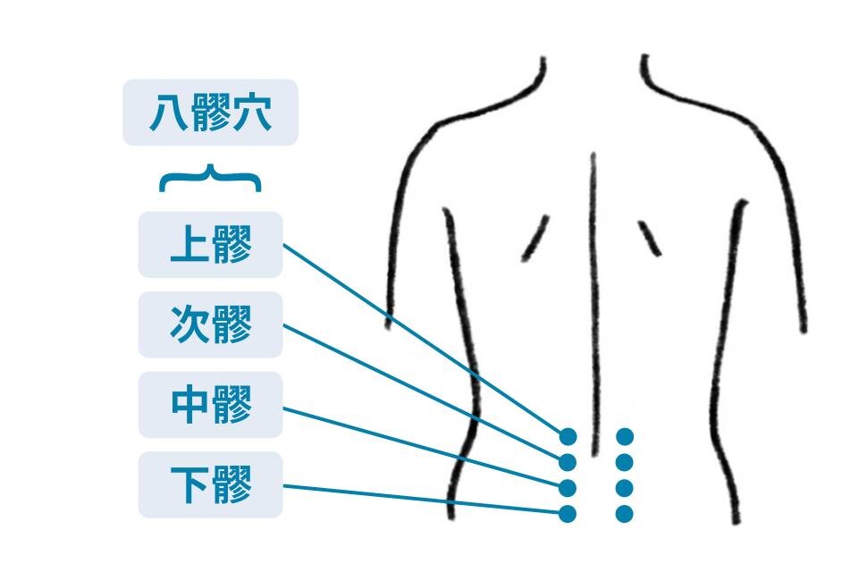 八髎穴（はちりょうけつ）のツボのイラスト