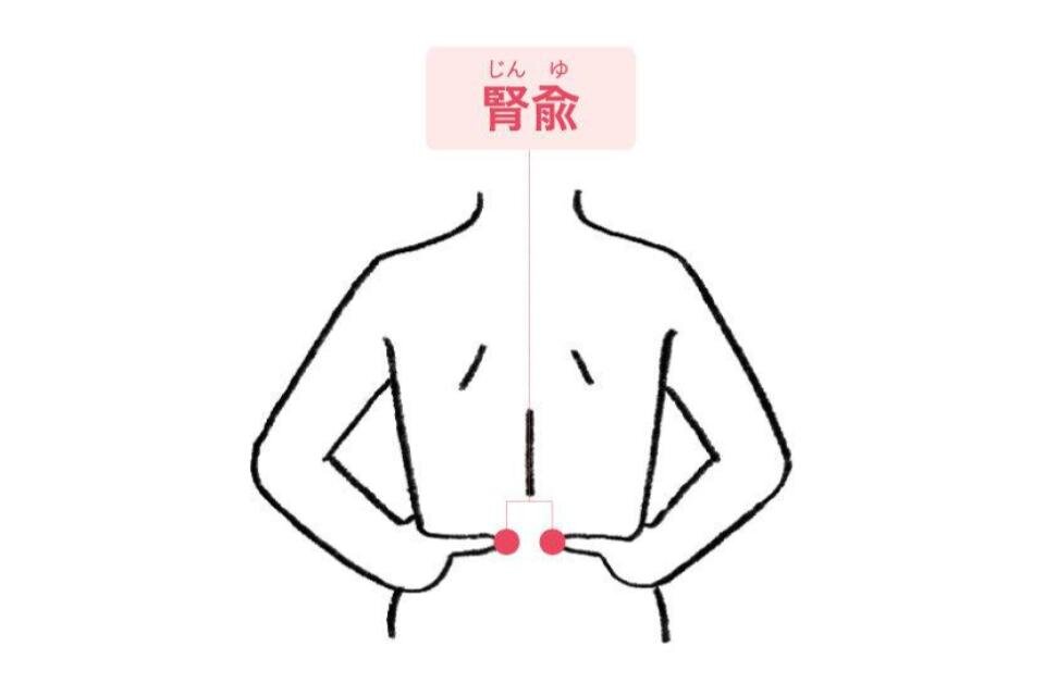 腎愈（じんゆ）のツボのイラスト