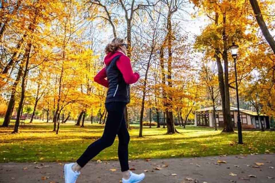 軽い運動（散歩やストレッチ）で血流改善