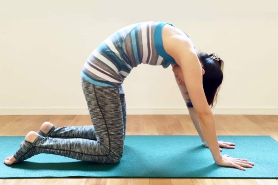 8-shaped-yoga-1.jpg