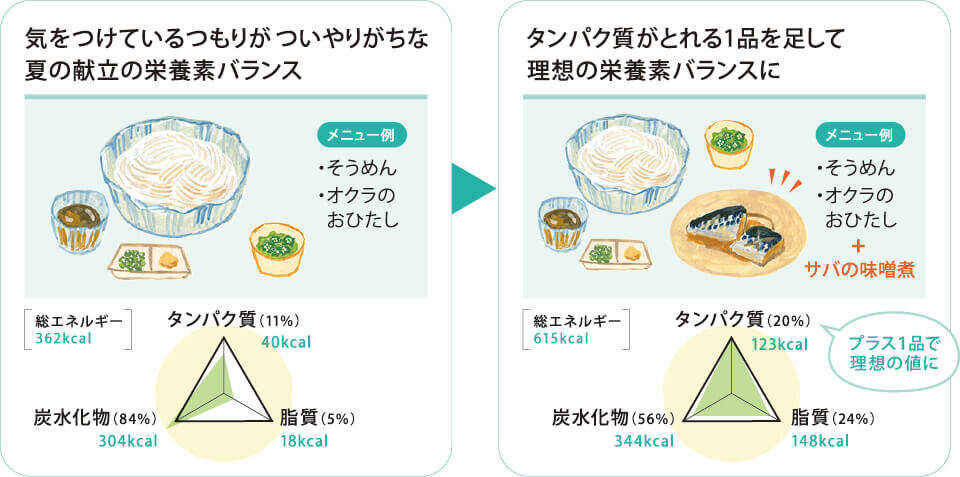 栄養素バランス タンパク質