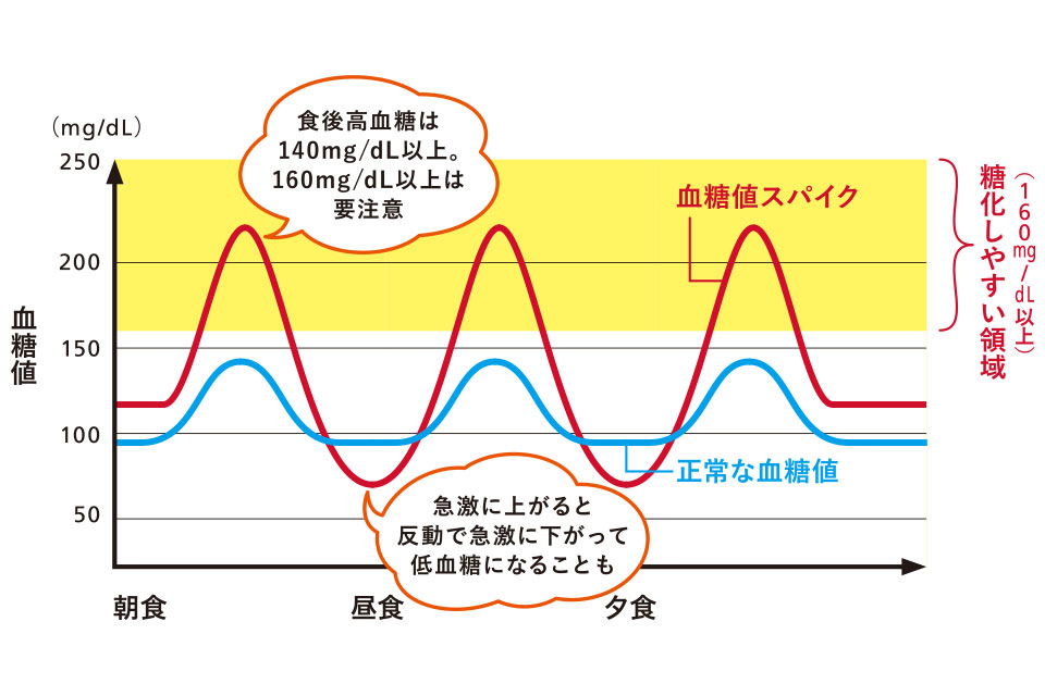 食後の急な眠気の原因は血糖値スパイク 予防に効果的な食事法4選 楽しむ 学ぶ 養命酒製造株式会社