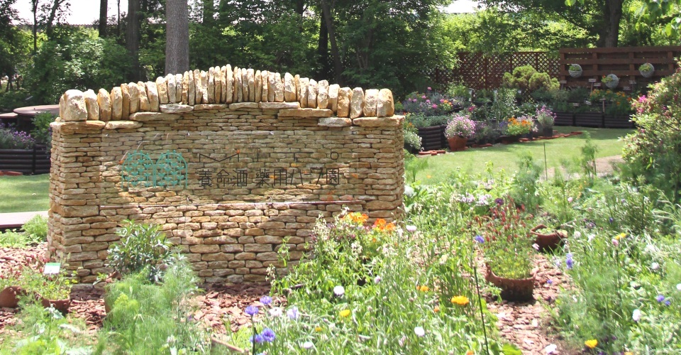 ハーブとねこ 水戸養命酒薬用ハーブ園 使う 育てる 楽しむ 学ぶ 養命酒製造株式会社