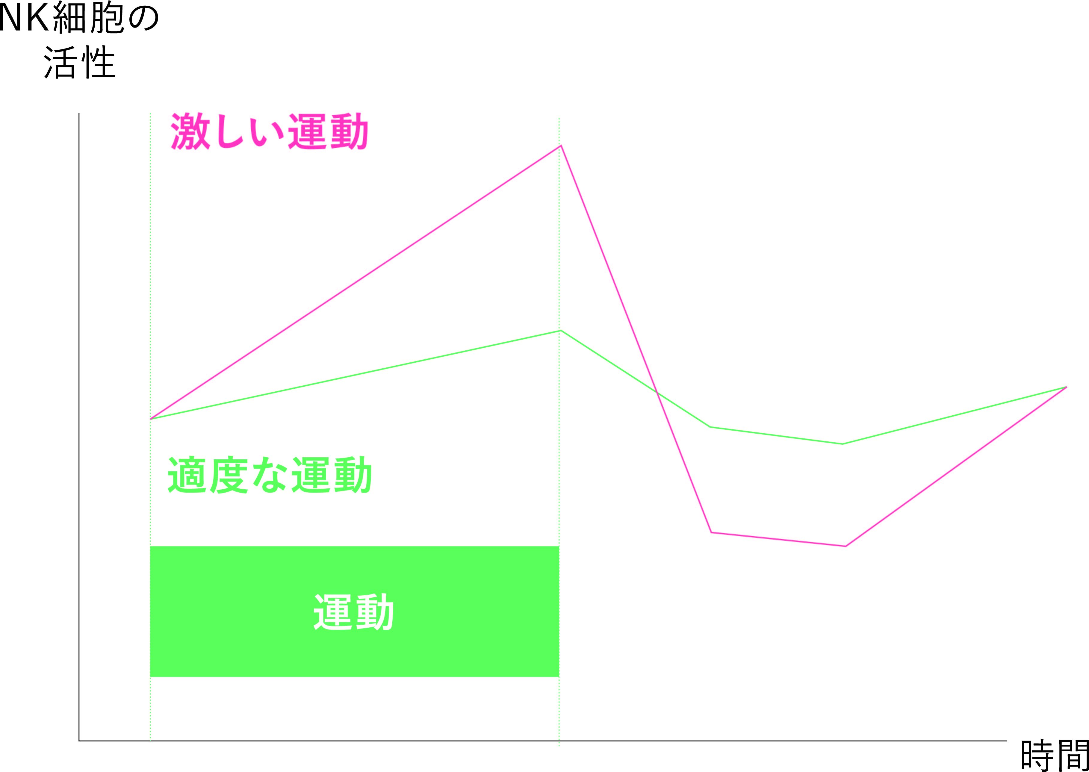 運動とNK細胞活性の関係を示すグラフ