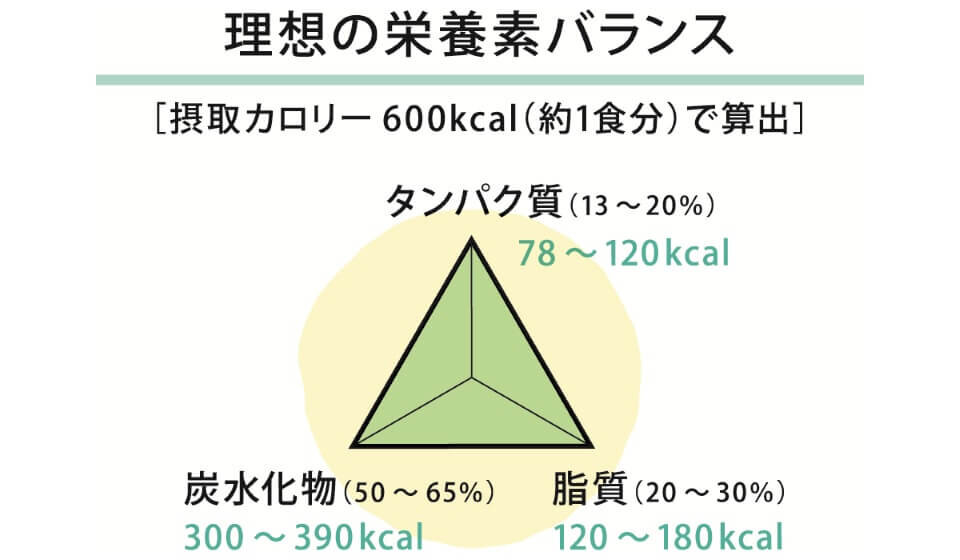 タンパク質 脂質 炭水化物 摂取比率