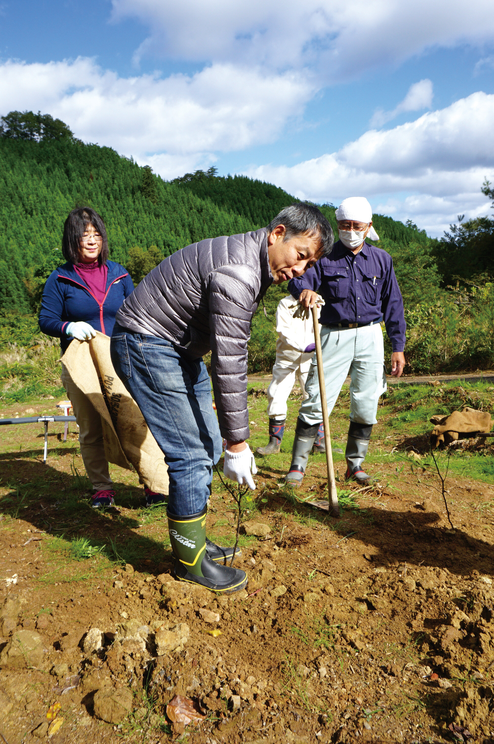 苗を植えた後、土を踏み固める和ハーブ協会　古谷暢基理事長.jpg