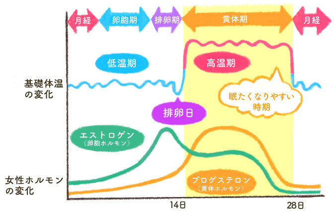 生理前に眠気が強くなるのはなぜ 医師オススメの対策6選 楽しむ 学ぶ 養命酒製造株式会社