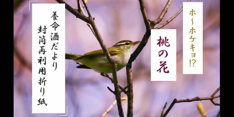 『養命酒だより』2023年春号付録「桃の花」の作り方一覧画像