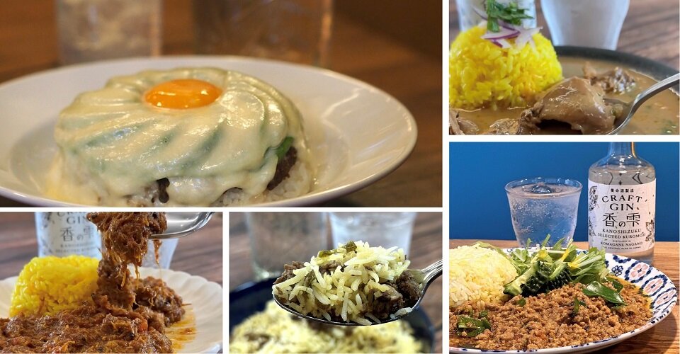 カレー細胞さん厳選！養命酒製造のクラフトジンに合うカレー14選一覧画像