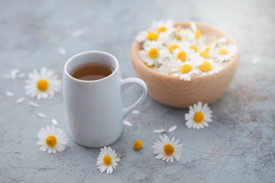 dry-chamomile.jpg