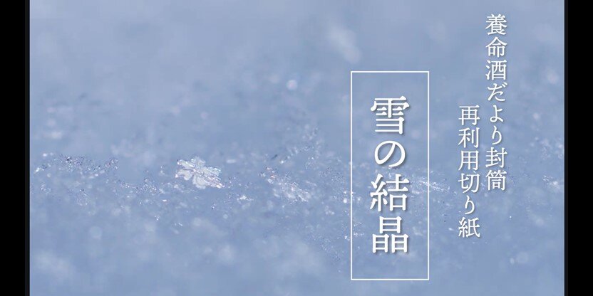『養命酒だより』2024年冬号付録「雪の結晶」の切り紙