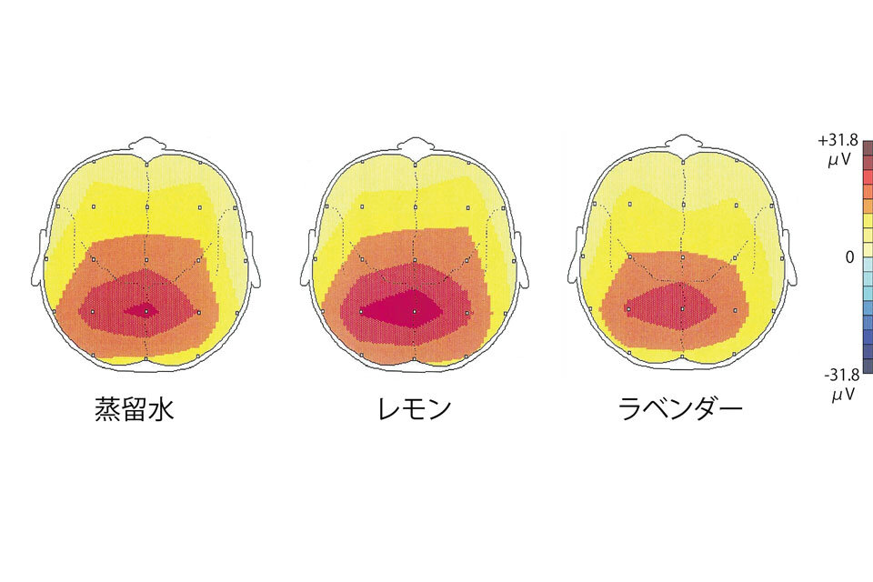 脳波の実験結果