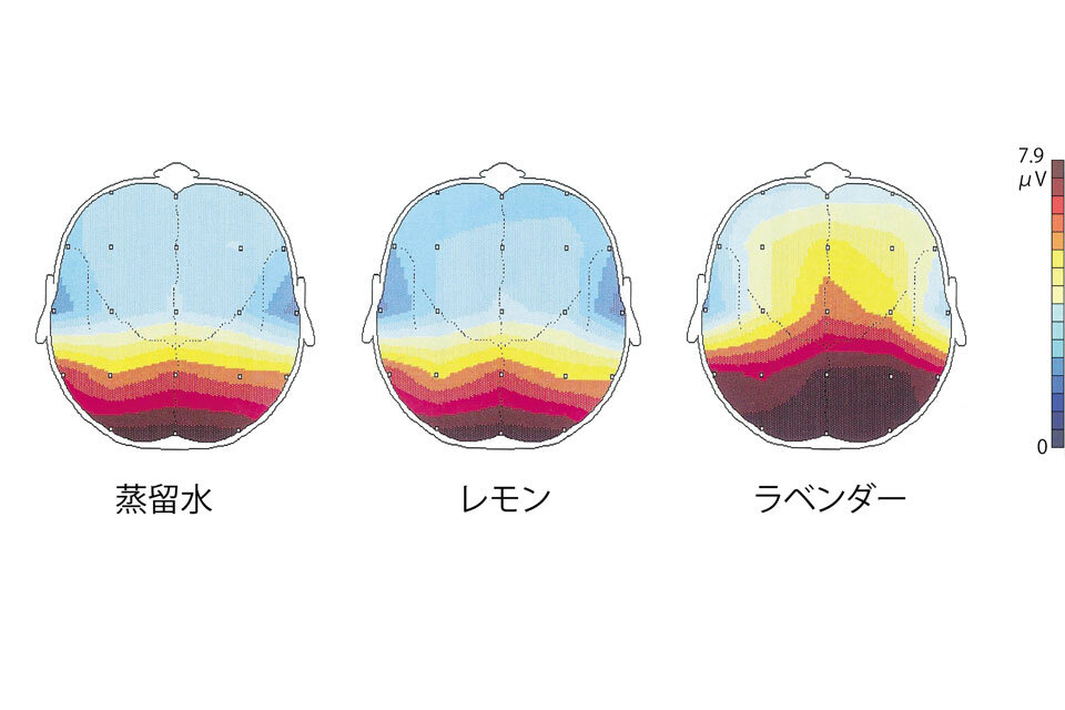 a波の実験結果