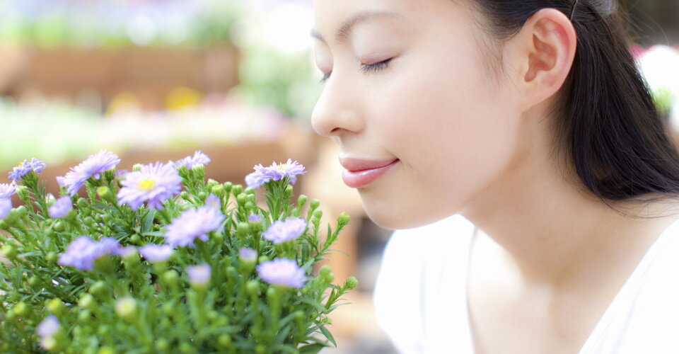 香りの効果で脳の疲労を回復！嗅覚が脳に与える影響と日常での楽しみ方