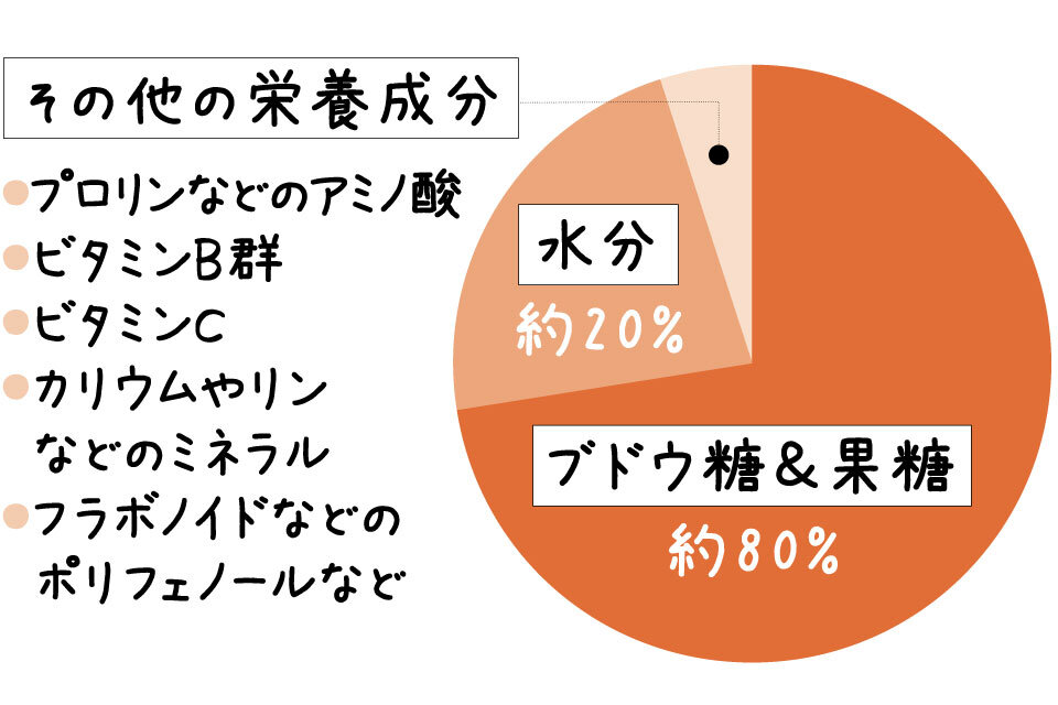 ハチミツの栄養成分