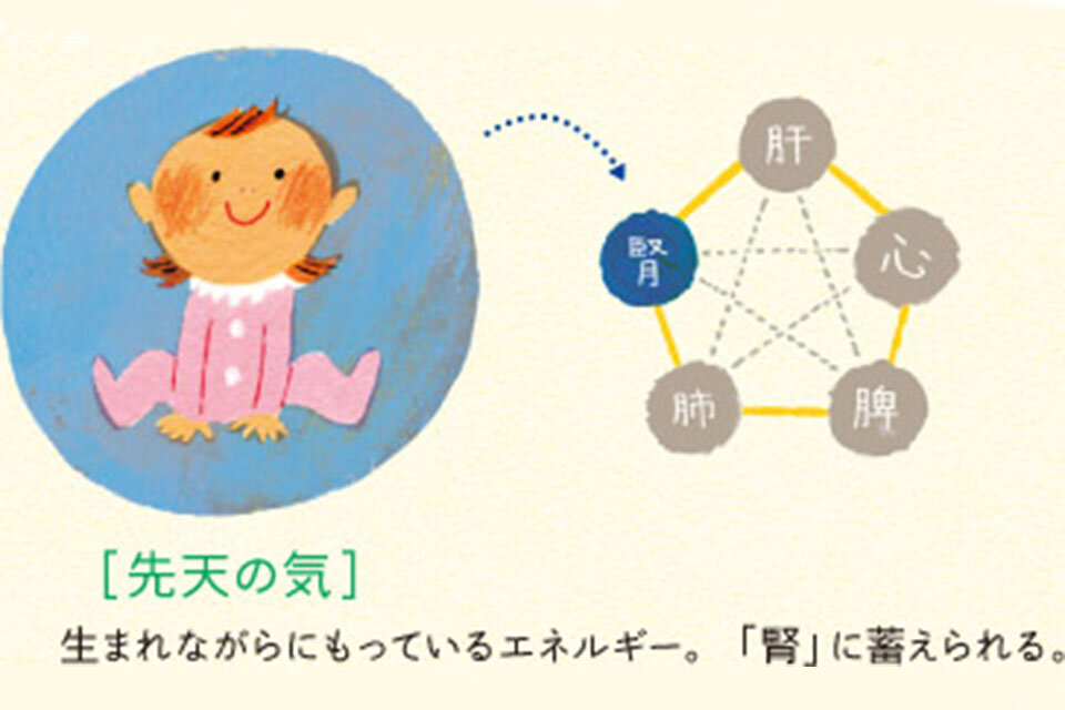 生まれつき備わった「先天の気」