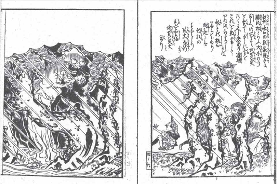 地黄こぼれ話