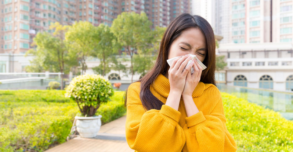 医師が教える花粉症対策！薬だけに頼らないハーブを使ったセルフケア