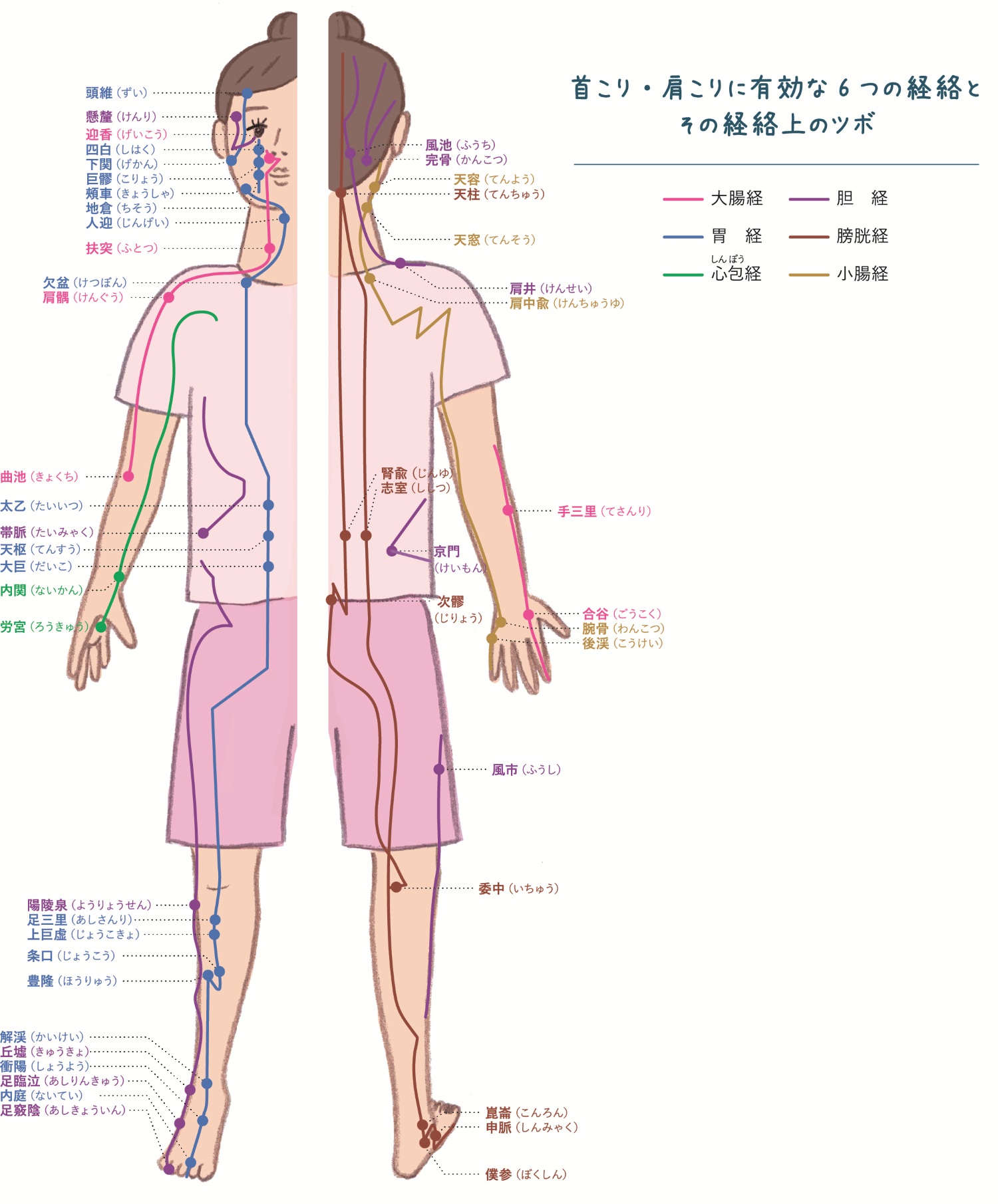 こり むくみ解消に 血行を促進する 経絡 の簡単ツボストレッチ法 楽しむ 学ぶ 養命酒製造株式会社