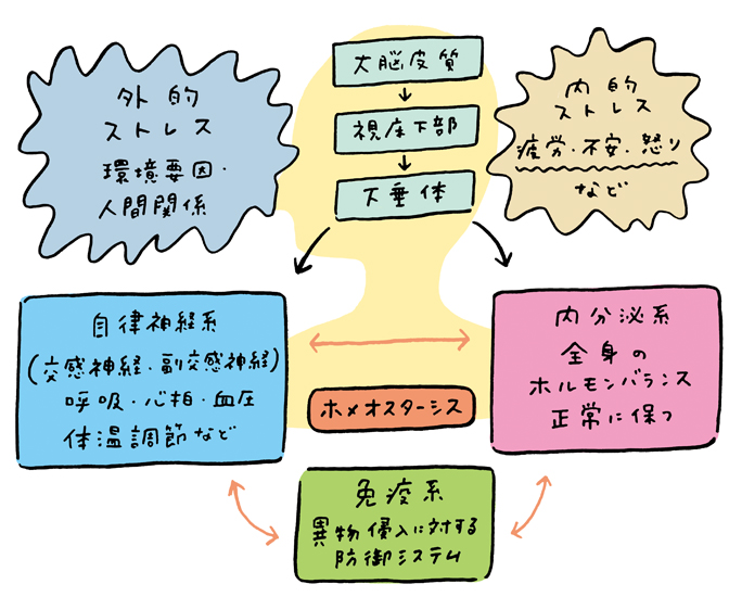 帯状疱疹に 良い 飲み物