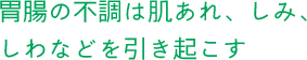 胃腸の不調は肌あれ、しみ、しわなどを引き起こす