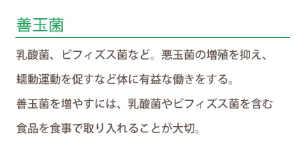 善玉菌 乳酸菌、ビフィズス菌など。悪玉菌の増殖を抑え、 蠕動運動を促すなど体に有益な働きをする。 善玉菌を増やすには、乳酸菌やビフィズス菌を含む 食品を食事で取り入れることが大切。