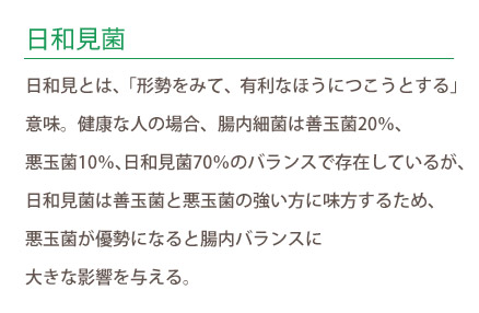 日和見菌 日和見とは、「形勢をみて、有利なほうにつこうとする」 意味。健康な人の場合、腸内細菌は善玉菌20％、 悪玉菌10％、日和見菌70％のバランスで存在しているが、 日和見菌は善玉菌と悪玉菌の強い方に味方するため、 悪玉菌が優勢になると腸内バランスに 大きな影響を与える。