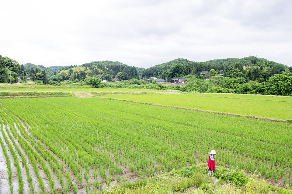 能登の自然