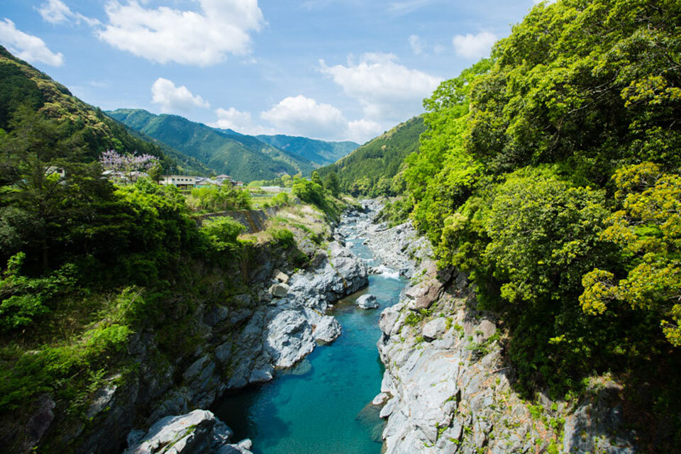 大台町の自然