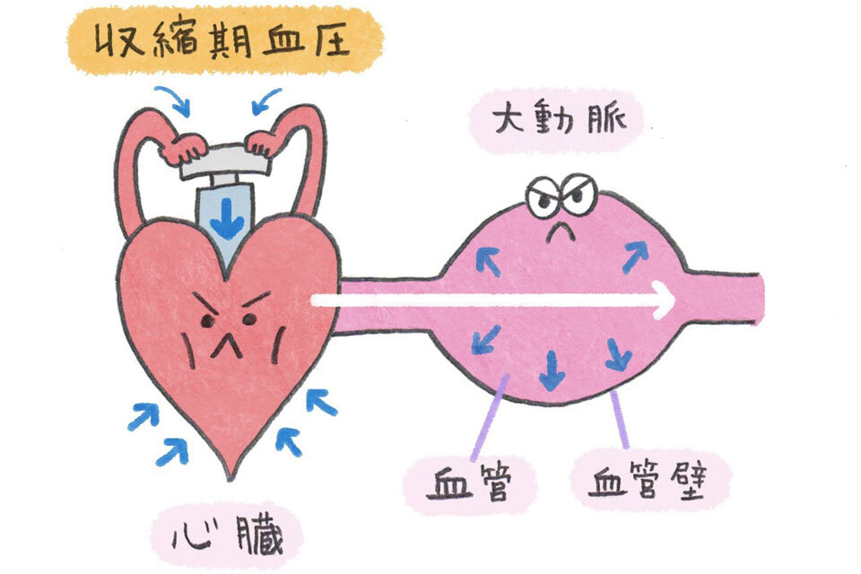 収縮期血圧