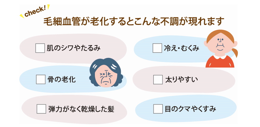 毛細血管の減少が体の不調の原因に シナモンでゴースト血管を修復 楽しむ 学ぶ 養命酒製造株式会社 毛細血管の減少が体の不調の原因に シナモンでゴースト血管を修復 楽しむ 学ぶ 養命酒製造株式会社