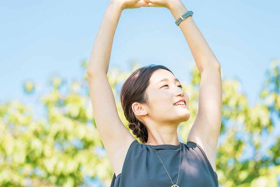 杜仲の樹皮の効能