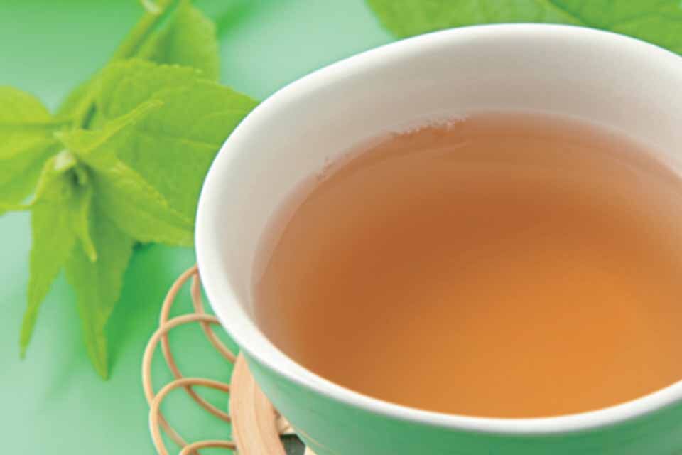 杜仲茶（杜仲の葉）の効能
