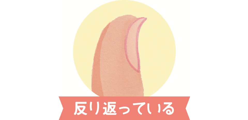 爪から健康状態を知ろう 今すぐできる 爪診断 楽しむ 学ぶ 養命酒製造株式会社